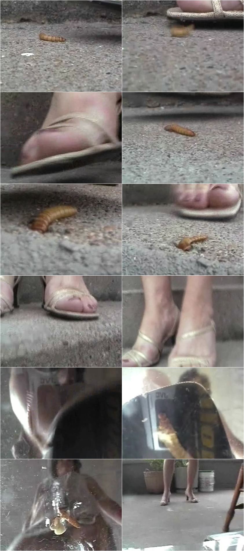 best of Sandals bug crush