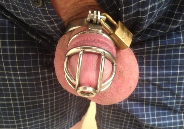 Cage chastity
