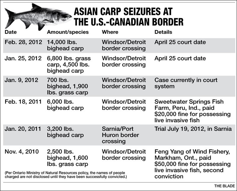 Asian carp food web