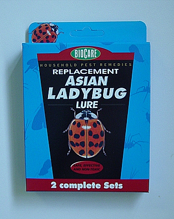 best of Trap pheromone Asian ladybug
