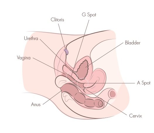 Tips for orgasm through vaginal intercourse